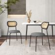 Set of 2 Rattan Dining Chair with Metal Legs-Gray Fashion