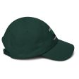 Bison Football Dad hat For Cheap