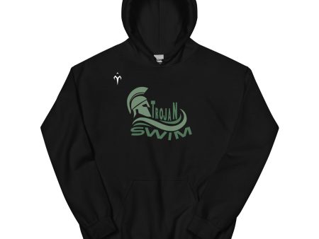 Auburn High Swim & Dive Unisex Hoodie Online Sale