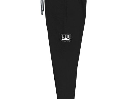 Altitude Volleyball Club Unisex Joggers Hot on Sale